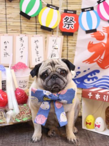 20240712くりこちゃん